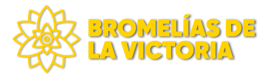 logo PROYECTO BROMELIAS